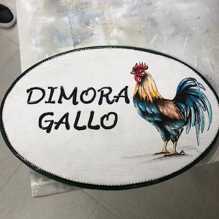 Apartment Dimora Gallo