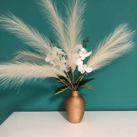 Dimora Gallo Apartman Fasano